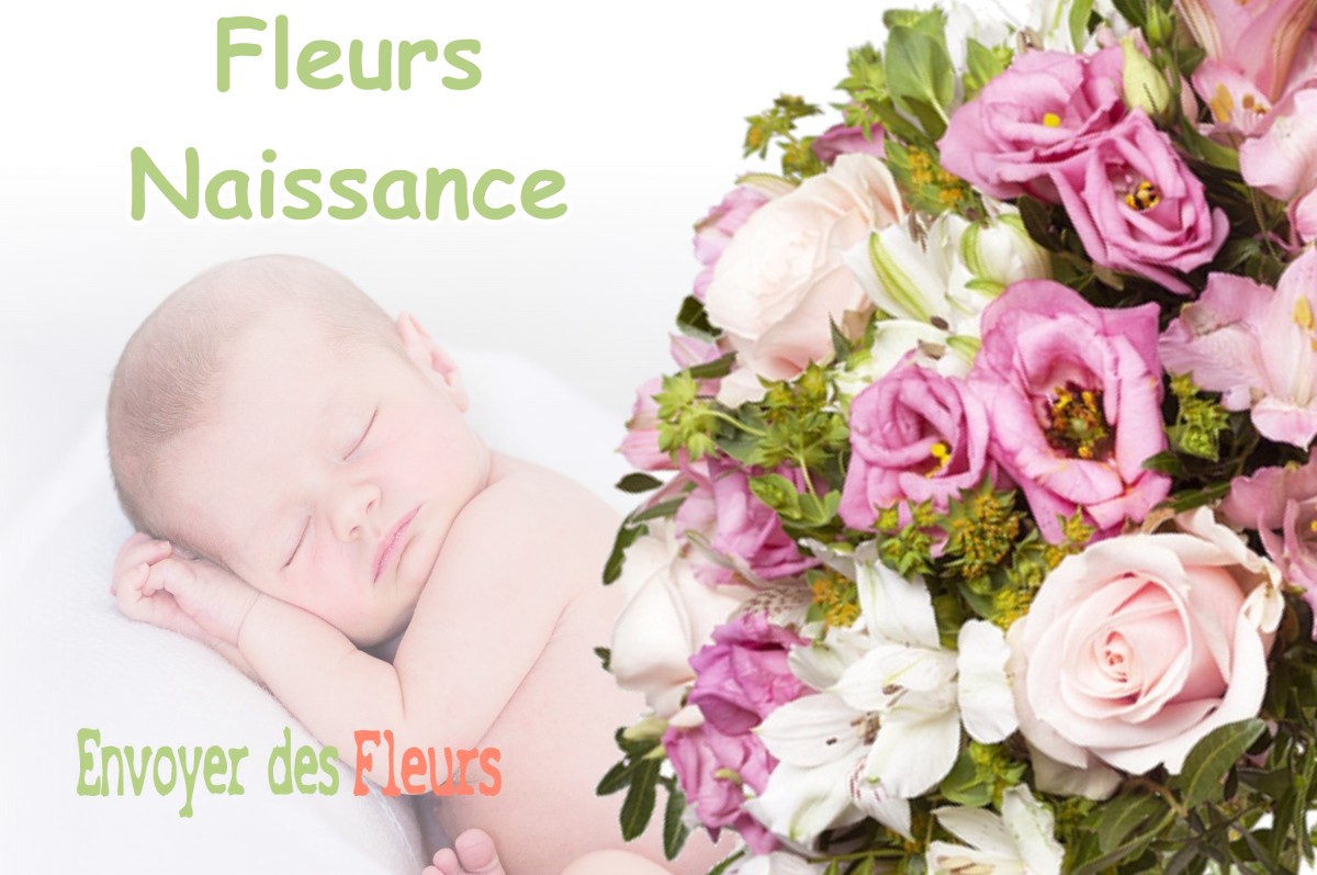 lIVRAISON FLEURS NAISSANCE à PORT-DE-LANNE